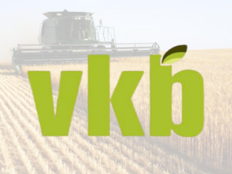 Cashier Vacancy 2026 – VKB Retail, Harrismith